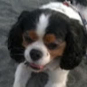 Meet your Posher, Sandra